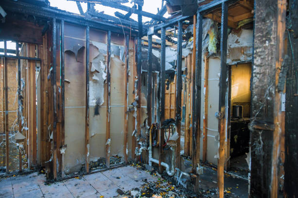 Professional Firefighting Water Removal technician working in Brinklow, MD